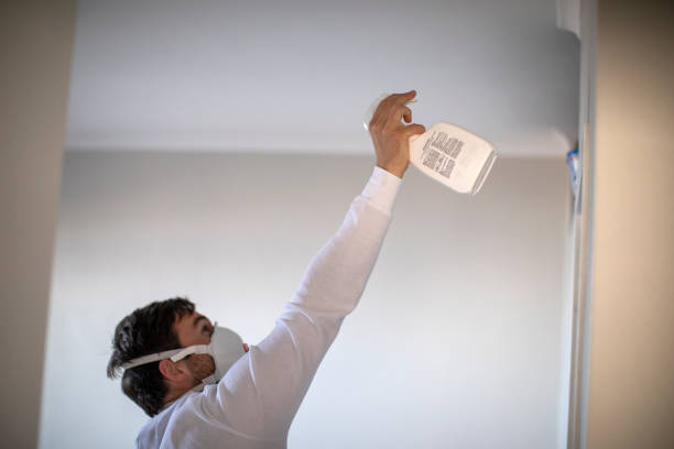 Best Mold Testing  in Leadington, MO