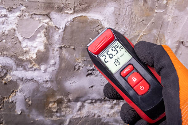 Best Crawl Space Mold Removal  in Leadington, MO