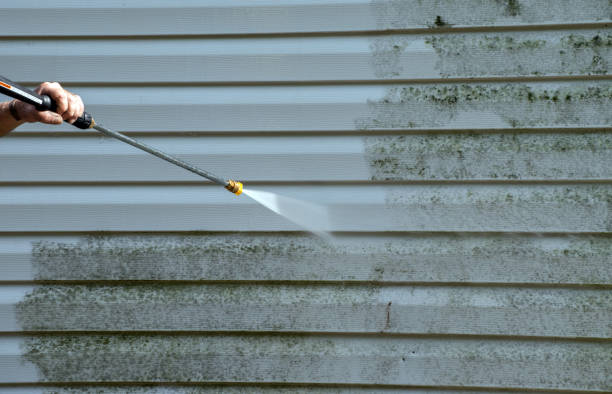 Best Commercial Mold Removal  in Leadington, MO