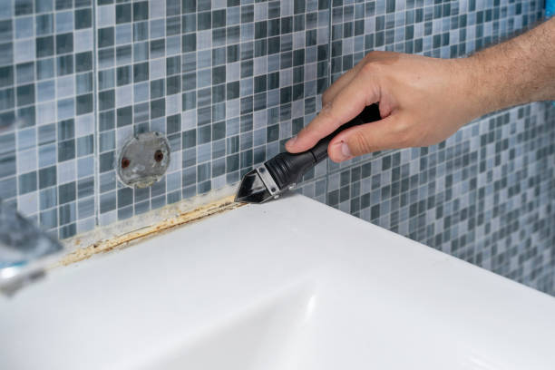 Best Mold Testing  in Leadington, MO