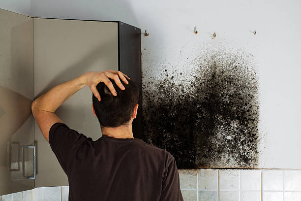 Best Mold Cleaning Services  in Leadington, MO